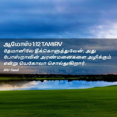Picture 02 - ஆமோஸ் 1:12 TAMIRV - தேமானிலே - Bible Verse Picture