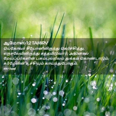 Picture 02 - ஆமோஸ் 1:2 TAMIRV - யெகோவா - Bible Verse Picture