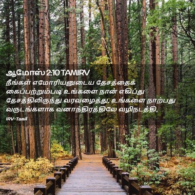Picture 02 - ஆமோஸ் 2:10 TAMIRV - நீங்கள் - Bible Verse Picture