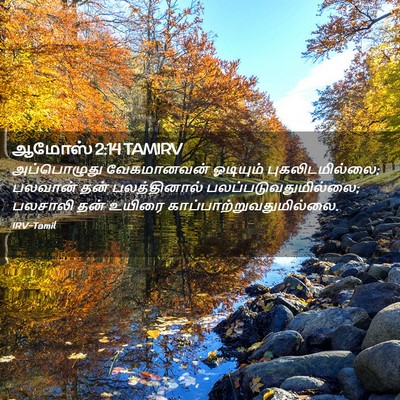 Picture 02 - ஆமோஸ் 2:14 TAMIRV - அப்பொழுது - Bible Verse Picture