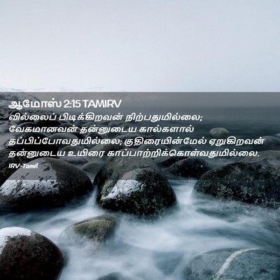 Picture 02 - ஆமோஸ் 2:15 TAMIRV - வில்லைப் - Bible Verse Picture