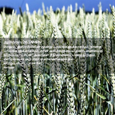 Picture 02 - ஆமோஸ் 2:6 TAMIRV - மேலும்: - Bible Verse Picture