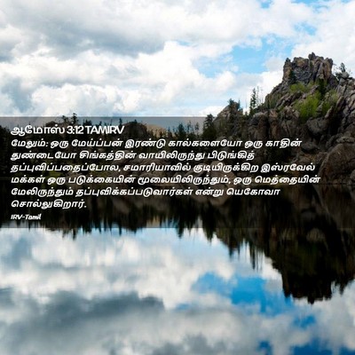 Picture 02 - ஆமோஸ் 3:12 TAMIRV - மேலும்: ஒரு - Bible Verse Picture