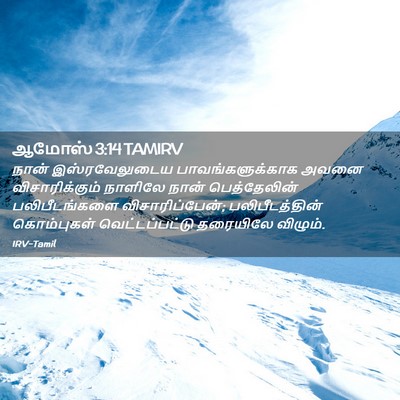 Picture 02 - ஆமோஸ் 3:14 TAMIRV - நான் இஸ்ரவேலுடைய - Bible Verse Picture