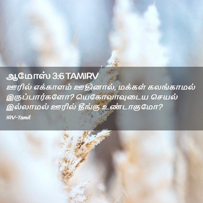 Picture 02 - ஆமோஸ் 3:6 TAMIRV - ஊரில் எக்காளம் - Bible Verse Picture