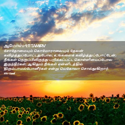 Picture 02 - ஆமோஸ் 4:11 TAMIRV - சோதோமையும் - Bible Verse Picture