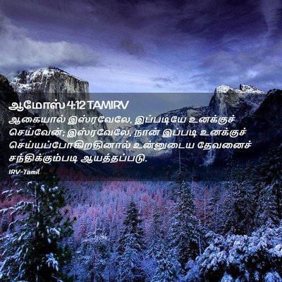 Picture 02 - ஆமோஸ் 4:12 TAMIRV - ஆகையால் இஸ்ரவேலே, - Bible Verse Picture