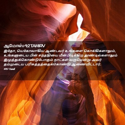 Picture 02 - ஆமோஸ் 4:2 TAMIRV - இதோ, யெகோவாகிய - Bible Verse Picture