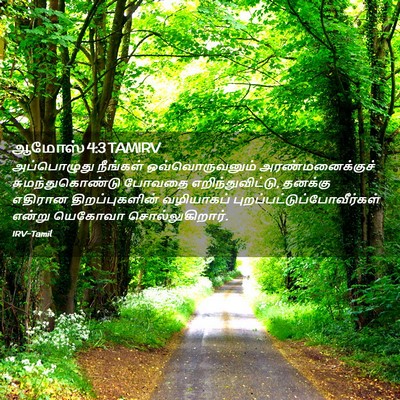 Picture 02 - ஆமோஸ் 4:3 TAMIRV - அப்பொழுது நீங்கள் - Bible Verse Picture