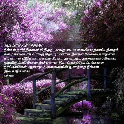 Picture 02 - ஆமோஸ் 5:11 TAMIRV - நீங்கள் - Bible Verse Picture