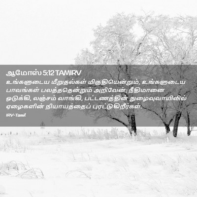 Picture 02 - ஆமோஸ் 5:12 TAMIRV - உங்களுடைய - Bible Verse Picture