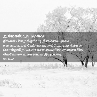 Picture 02 - ஆமோஸ் 5:14 TAMIRV - நீங்கள் - Bible Verse Picture