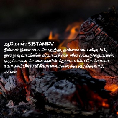 Picture 02 - ஆமோஸ் 5:15 TAMIRV - நீங்கள் தீமையை - Bible Verse Picture