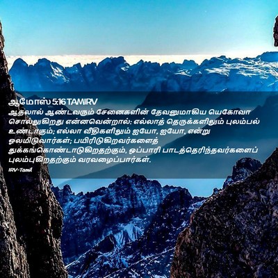 Picture 02 - ஆமோஸ் 5:16 TAMIRV - ஆதலால் ஆண்டவரும் - Bible Verse Picture