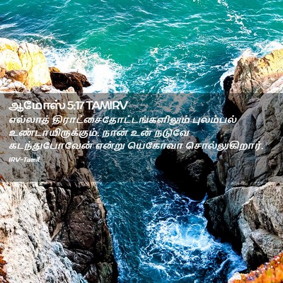 Picture 02 - ஆமோஸ் 5:17 TAMIRV - எல்லாத் - Bible Verse Picture