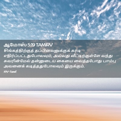 Picture 02 - ஆமோஸ் 5:19 TAMIRV - சிங்கத்திற்குத் - Bible Verse Picture