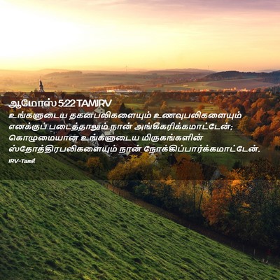 Picture 02 - ஆமோஸ் 5:22 TAMIRV - உங்களுடைய - Bible Verse Picture