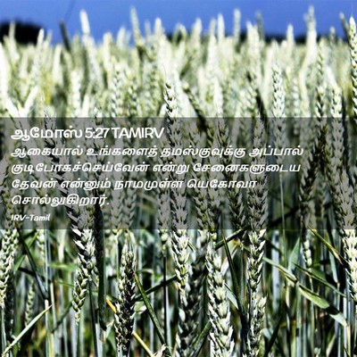 Picture 02 - ஆமோஸ் 5:27 TAMIRV - ஆகையால் உங்களைத் - Bible Verse Picture