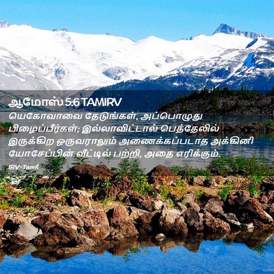 Picture 02 - ஆமோஸ் 5:6 TAMIRV - யெகோவாவை - Bible Verse Picture