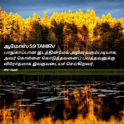 Picture 02 - ஆமோஸ் 5:9 TAMIRV - பாதுகாப்பான - Bible Verse Picture