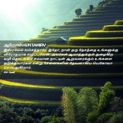 Picture 02 - ஆமோஸ் 6:14 TAMIRV - இஸ்ரவேல் - Bible Verse Picture