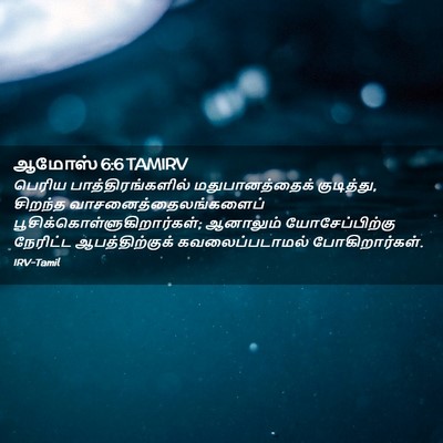 Picture 02 - ஆமோஸ் 6:6 TAMIRV - பெரிய - Bible Verse Picture