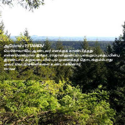 Picture 02 - ஆமோஸ் 7:1 TAMIRV - யெகோவாகிய ஆண்டவர் - Bible Verse Picture