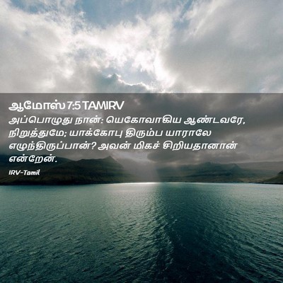 Picture 02 - ஆமோஸ் 7:5 TAMIRV - அப்பொழுது நான்: - Bible Verse Picture