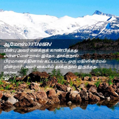 Picture 02 - ஆமோஸ் 7:7 TAMIRV - பின்பு அவர் - Bible Verse Picture