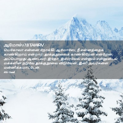 Picture 02 - ஆமோஸ் 7:8 TAMIRV - யெகோவா என்னை - Bible Verse Picture