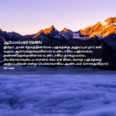 Picture 02 - ஆமோஸ் 8:11 TAMIRV - இதோ, நான் - Bible Verse Picture