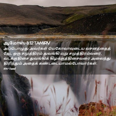 Picture 02 - ஆமோஸ் 8:12 TAMIRV - அப்பொழுது அவர்கள் - Bible Verse Picture