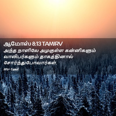 Picture 02 - ஆமோஸ் 8:13 TAMIRV - அந்த நாளிலே - Bible Verse Picture