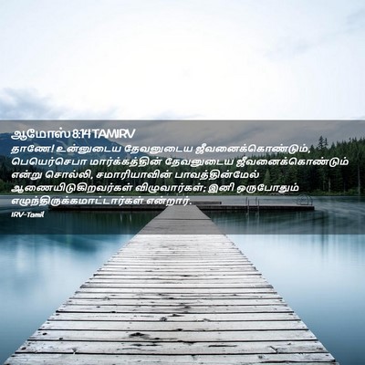 Picture 02 - ஆமோஸ் 8:14 TAMIRV - தாணே! உன்னுடைய - Bible Verse Picture
