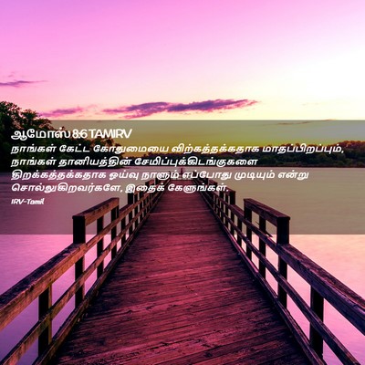 Picture 02 - ஆமோஸ் 8:6 TAMIRV - நாங்கள் கேட்ட - Bible Verse Picture