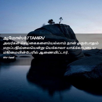 Picture 02 - ஆமோஸ் 8:7 TAMIRV - அவர்கள் - Bible Verse Picture