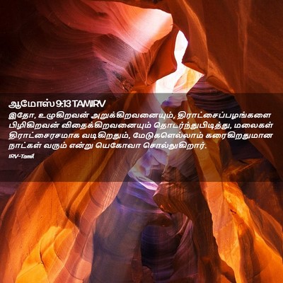 Picture 02 - ஆமோஸ் 9:13 TAMIRV - இதோ, உழுகிறவன் - Bible Verse Picture