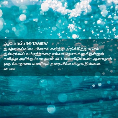 Picture 02 - ஆமோஸ் 9:9 TAMIRV - இதோ, சல்லடையினால் - Bible Verse Picture