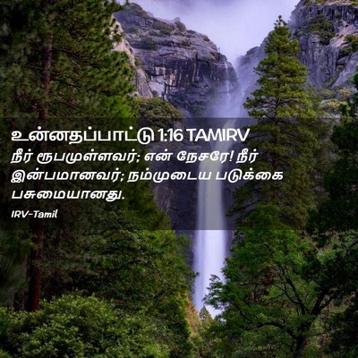 Picture 02 - உன்னதப்பாட்டு 1:16 TAMIRV - நீர் ரூபமுள்ளவர்; - Bible Verse Picture
