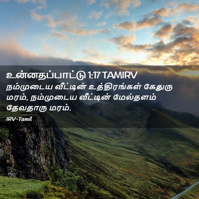 Picture 02 - உன்னதப்பாட்டு 1:17 TAMIRV - நம்முடைய வீட்டின் - Bible Verse Picture