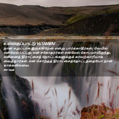 Picture 02 - உன்னதப்பாட்டு 1:6 TAMIRV - நான் கறுப்பாக - Bible Verse Picture
