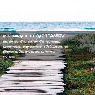 Picture 02 - உன்னதப்பாட்டு 2:1 TAMIRV - நான் சாரோனின் - Bible Verse Picture
