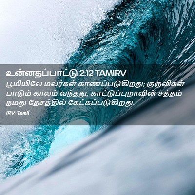 Picture 02 - உன்னதப்பாட்டு 2:12 TAMIRV - பூமியிலே மலர்கள் - Bible Verse Picture