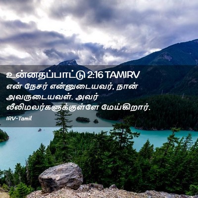Picture 02 - உன்னதப்பாட்டு 2:16 TAMIRV - என் நேசர் - Bible Verse Picture
