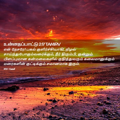 Picture 02 - உன்னதப்பாட்டு 2:17 TAMIRV - என் நேசரே! பகல் - Bible Verse Picture