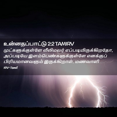 Picture 02 - உன்னதப்பாட்டு 2:2 TAMIRV - முட்களுக்குள்ளே - Bible Verse Picture