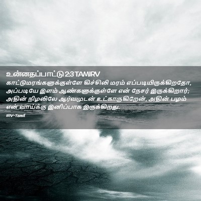 Picture 02 - உன்னதப்பாட்டு 2:3 TAMIRV -  - Bible Verse Picture