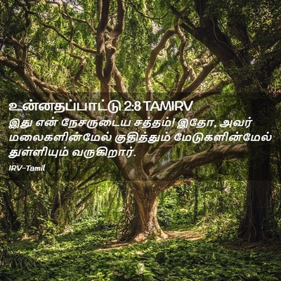 Picture 02 - உன்னதப்பாட்டு 2:8 TAMIRV - இது என் நேசருடைய - Bible Verse Picture
