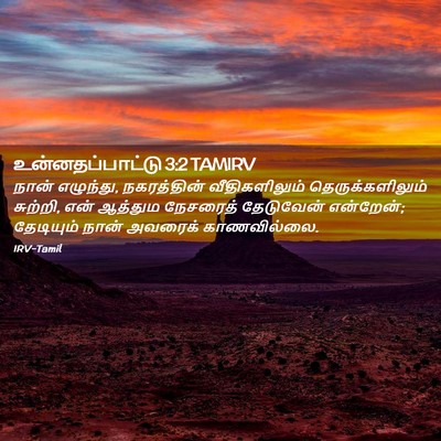 Picture 02 - உன்னதப்பாட்டு 3:2 TAMIRV - நான் எழுந்து, - Bible Verse Picture