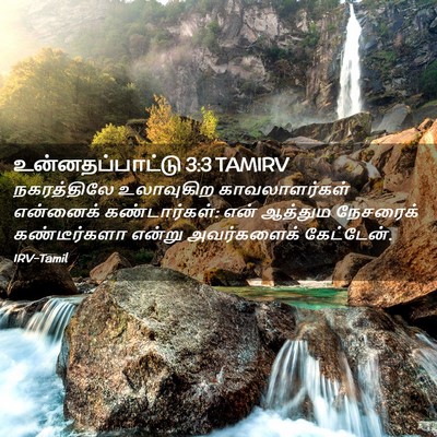 Picture 02 - உன்னதப்பாட்டு 3:3 TAMIRV - நகரத்திலே - Bible Verse Picture